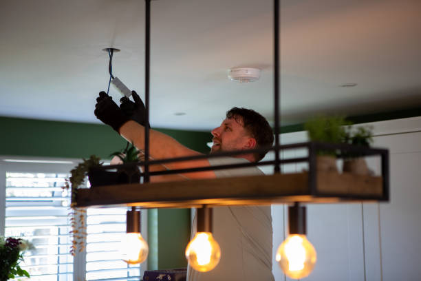 Best 24-Hour Electrician  in Albion, IL